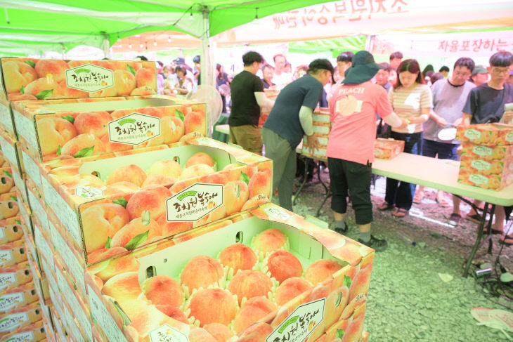 제24회_세종_조치원복숭아_축제_특별판매전
