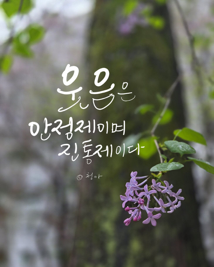 KakaoTalk_20260720_075934557