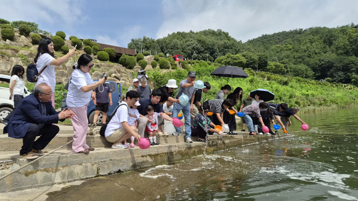 보도 6) 뱀장어 치어 방류(2)