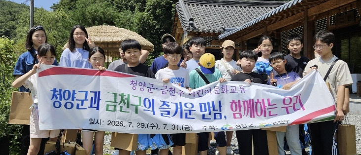 청양 금천