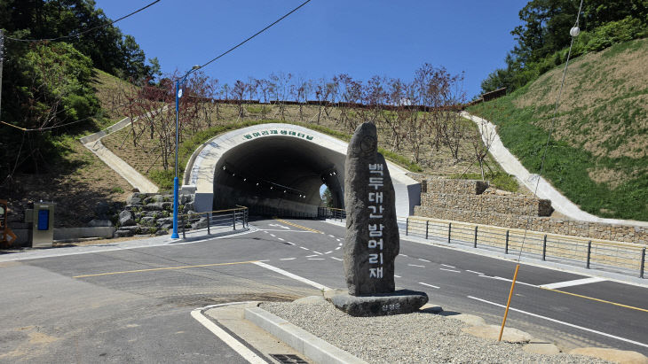 백두대간 생태축 복원사업(밤머리재)
