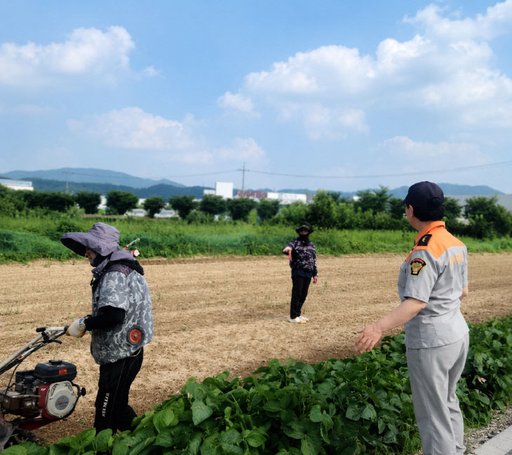 (804)언론이미지