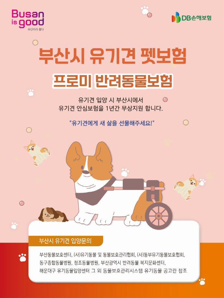 유기견 펫보험 1년 무상 지원
