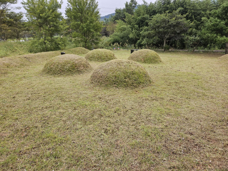 벌초2