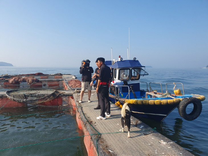보령시