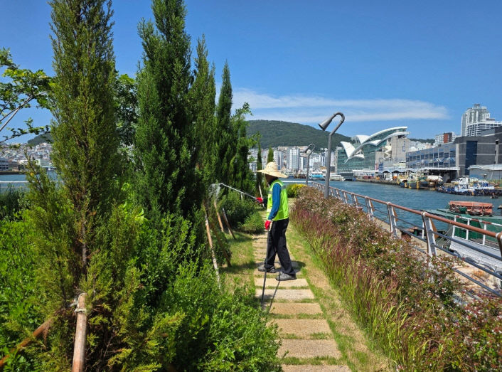 부산시, 도시녹화사업장 폭염피해 16.)