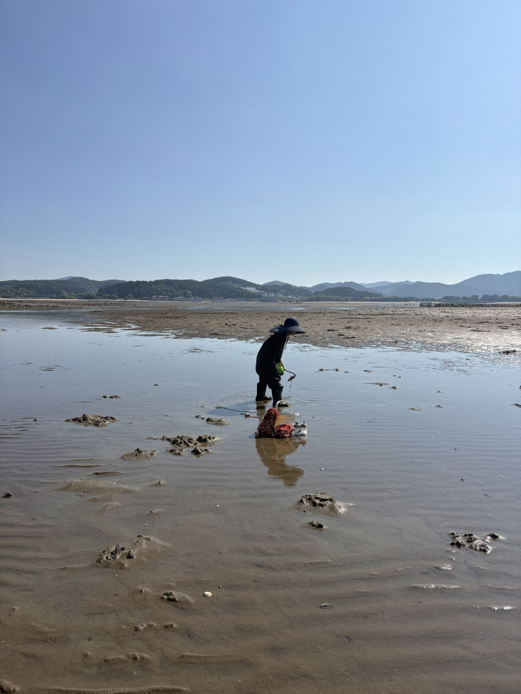시바타노조미