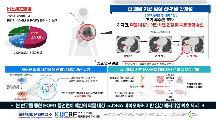 2. 연구 결과 모식도