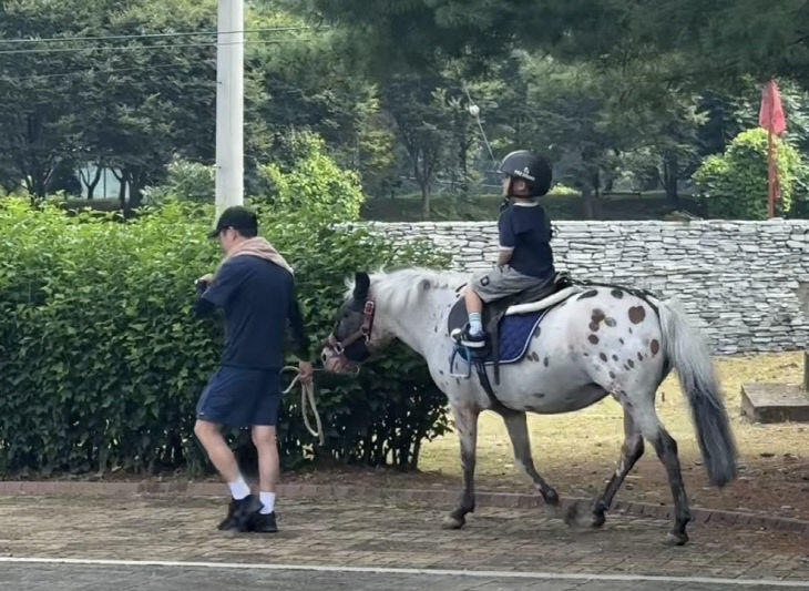 보도 3) 승마 체험(1)