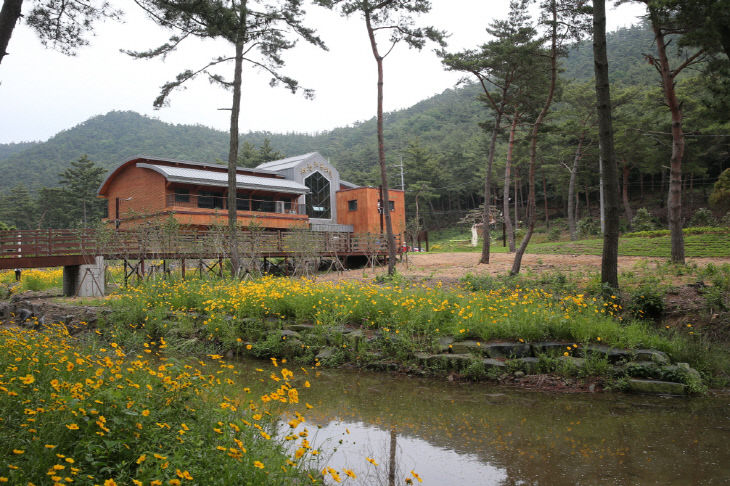 서천 치유의 숲 전경