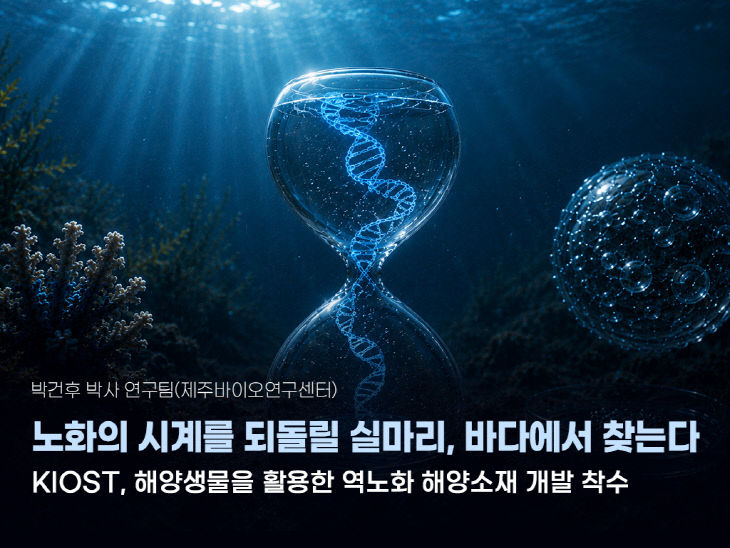 (이미지) 연구성과 이미지