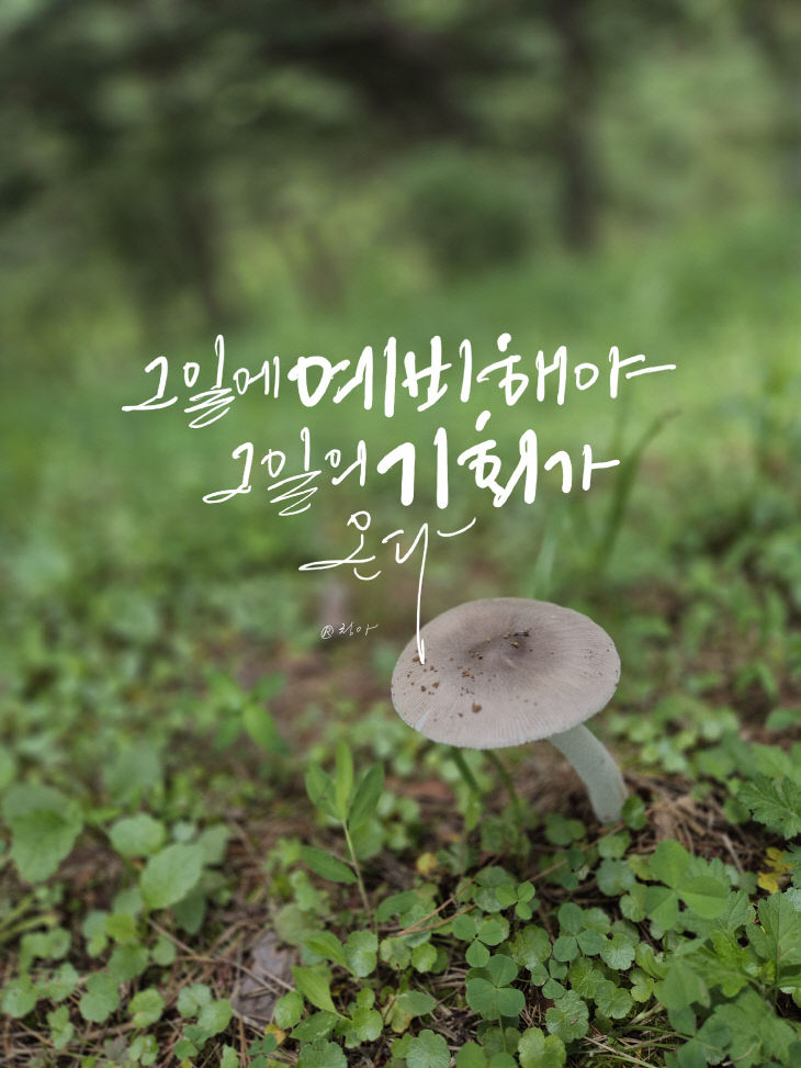 KakaoTalk_20260805_111441998