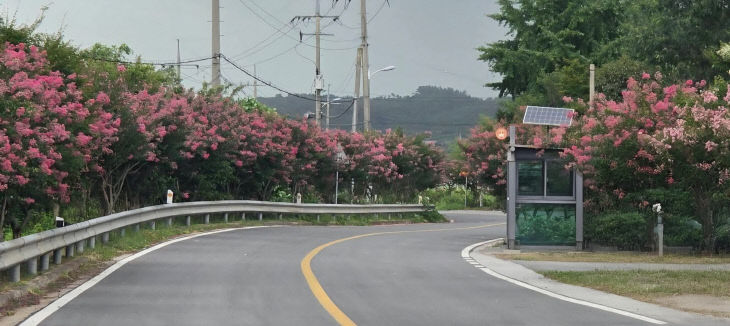 KakaoTalk_20260808_224508460_01