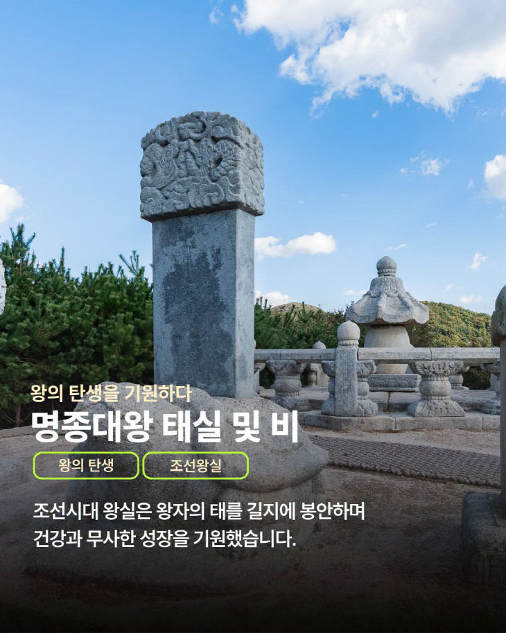 KakaoTalk_20260809_085531694_02