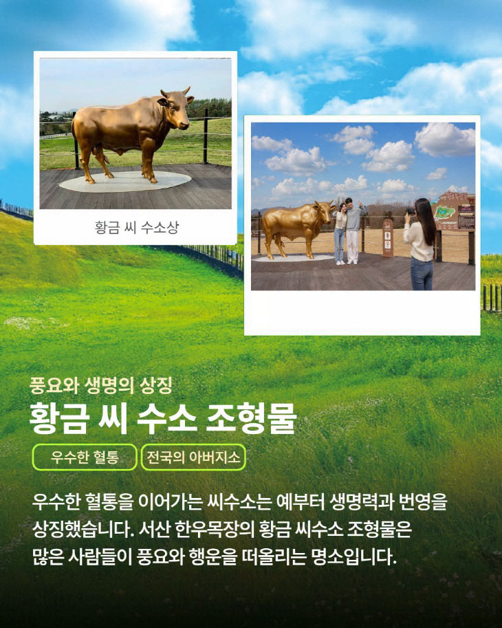 KakaoTalk_20260809_085531694_03