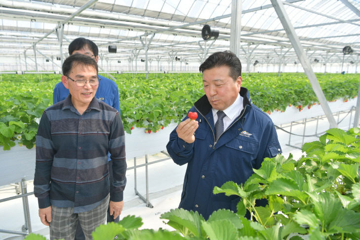 1.최재구 예산군수 딸기 스마트팜 농가 방문 모습2
