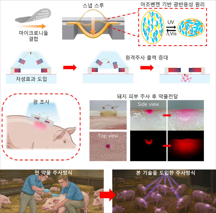 스냅스루 액정엘라스토머-마이크로 예시
