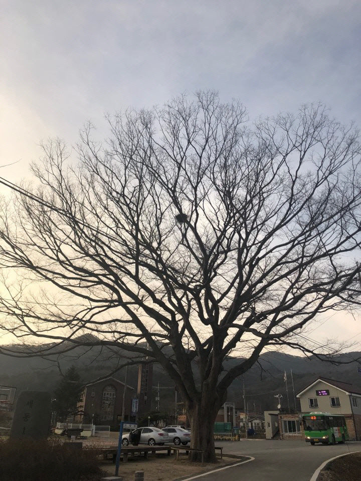 2018032601002520800117301