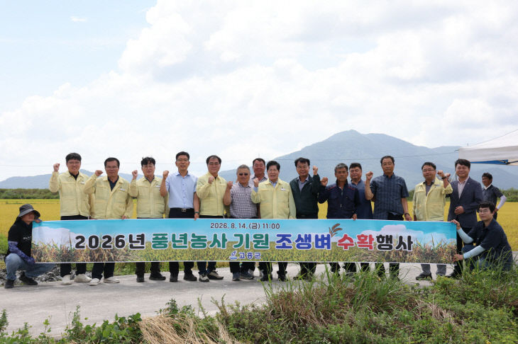 고