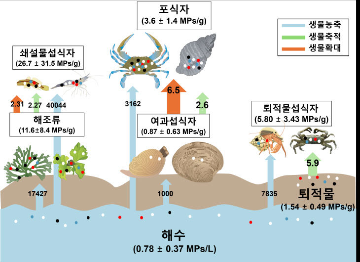 사진3