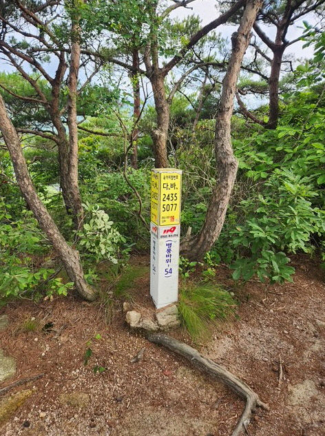 홍성군