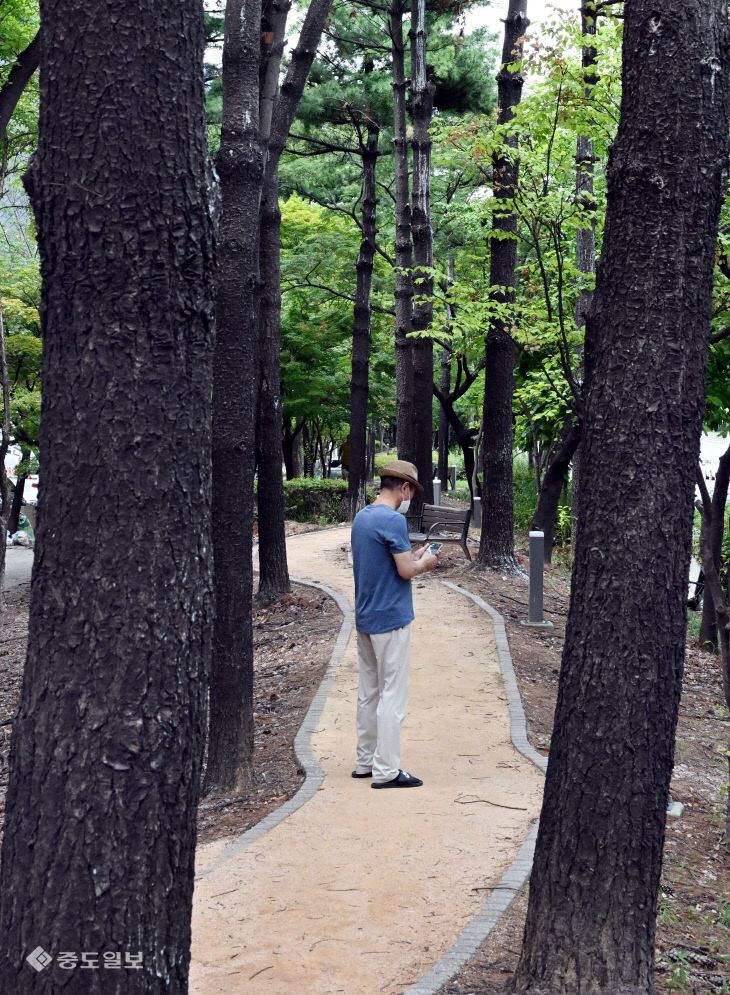 20260820-도심 속 산책3