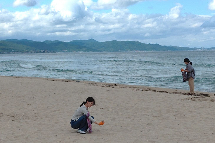사진