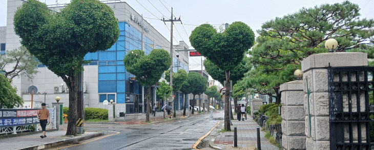 도심 속 ‘하트나무 가로수길’ 전국 우수사례로 인정.