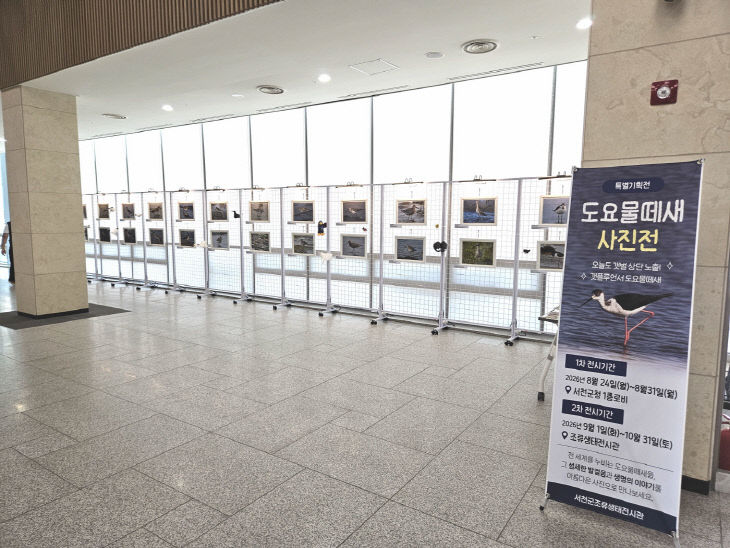 서천군청 로비에서 열리고 있는 여름철 도요물떼새 사진전