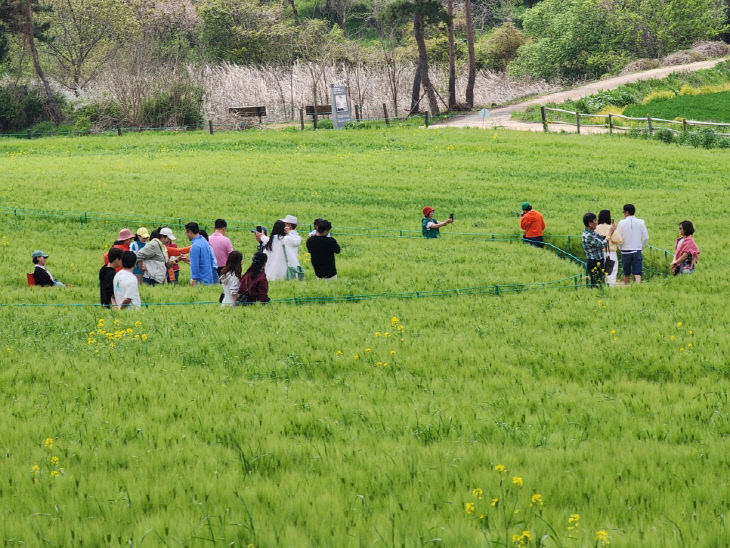 고창군 반띵여행-3