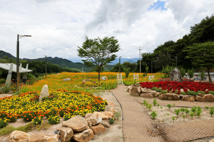 보도 2) 적성면 행복꽃밭(1)