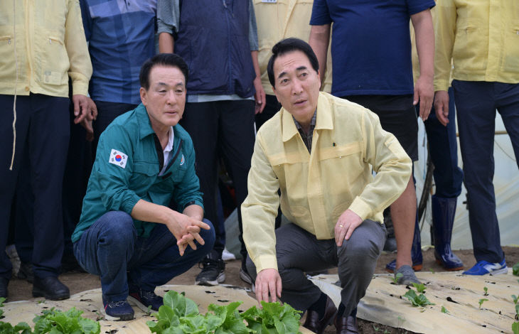 돌풍피해현장점검 (2)
