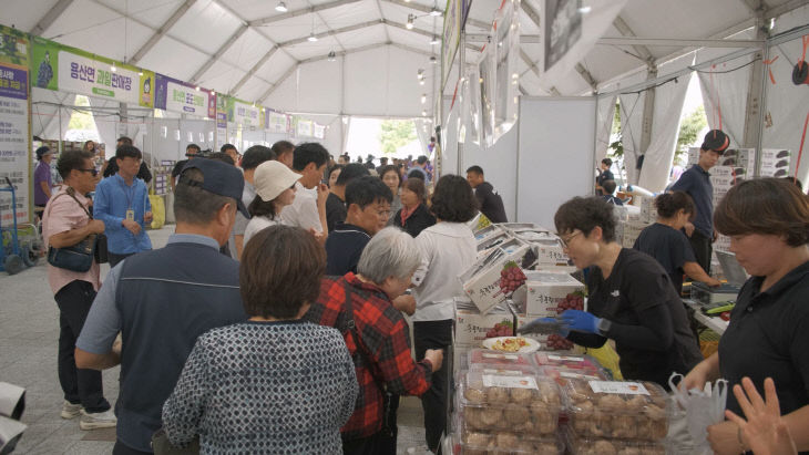 1. 2026 영동포도축제