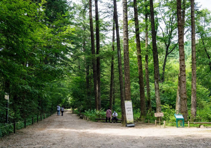 포천 국립수목원(2)