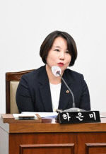 하은미 의원