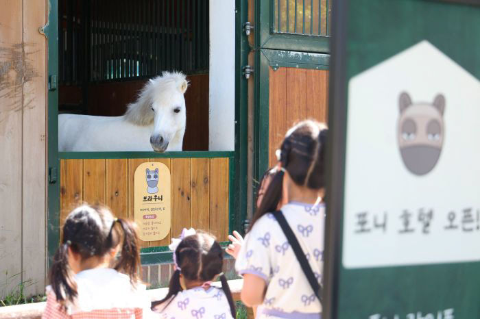 (부정기)(사진3) 아이들이 포니와 만나고 있는 모습
