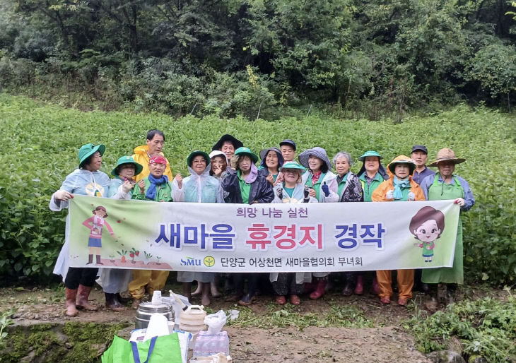 보도 5) 들깨밭을 가꾸는 어상천면 새마을지도자협의회(2)