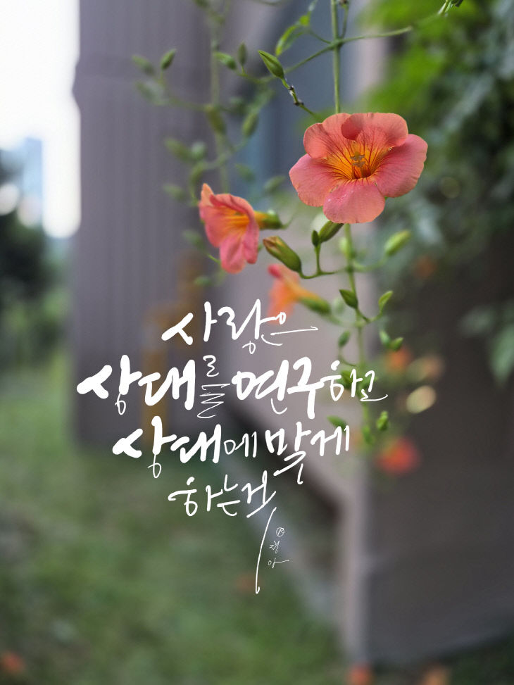 KakaoTalk_20260902_155946791