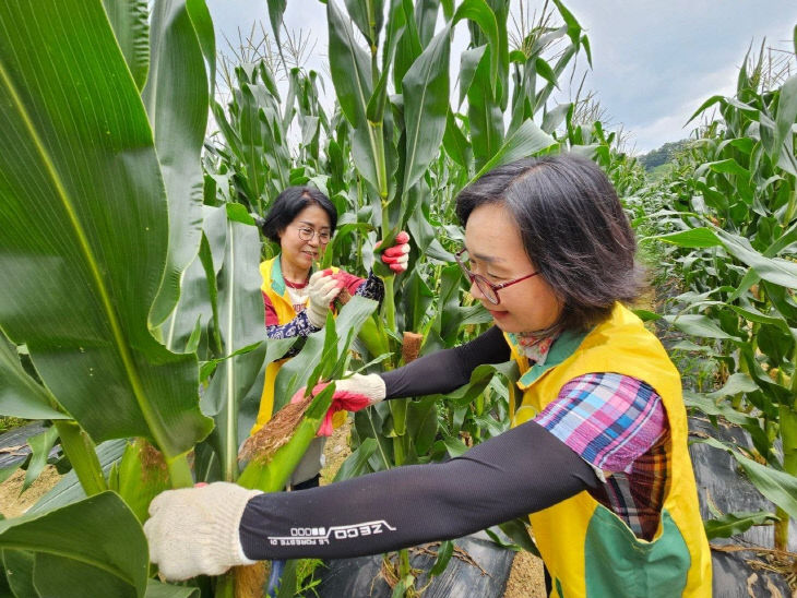 사본 - 6. 7월 2일 대전지부가 대전 옥천군 군북면에서 농촌 일