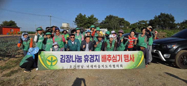 9.오가면 남녀새마을지도자협의회 사랑의 배추심기 행사 모습