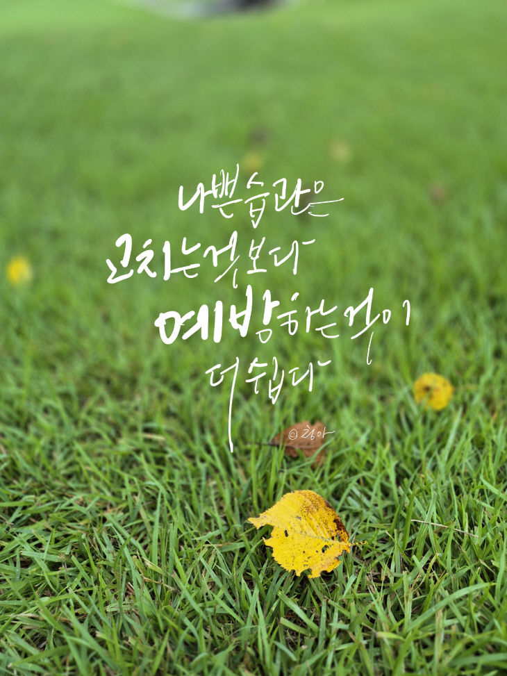 KakaoTalk_20260831_201023935