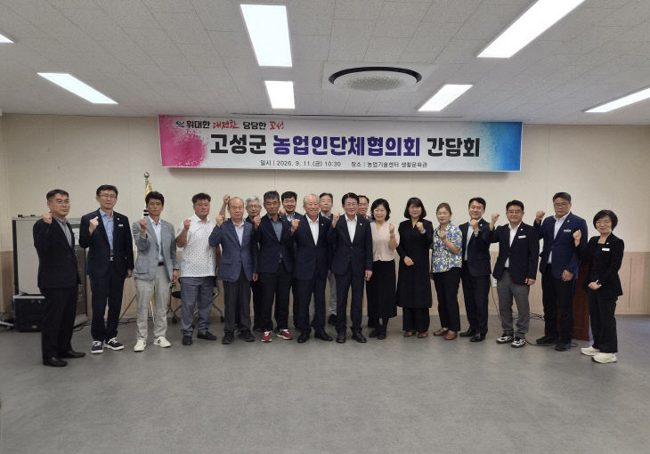 3-1 고성군,