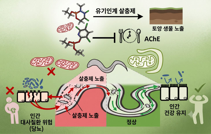 260914-3미지