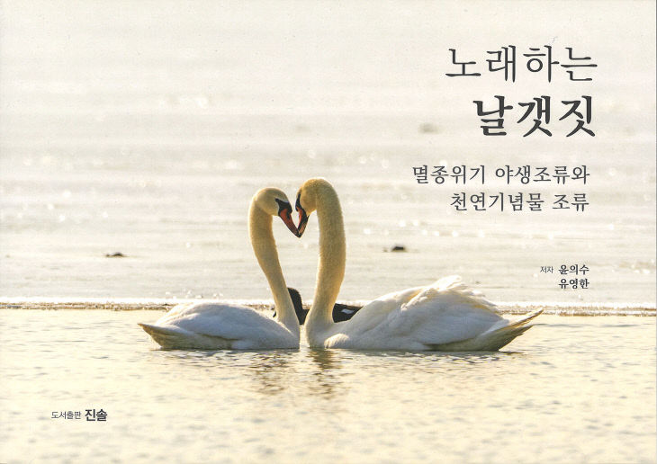 노래하는-날갯짓