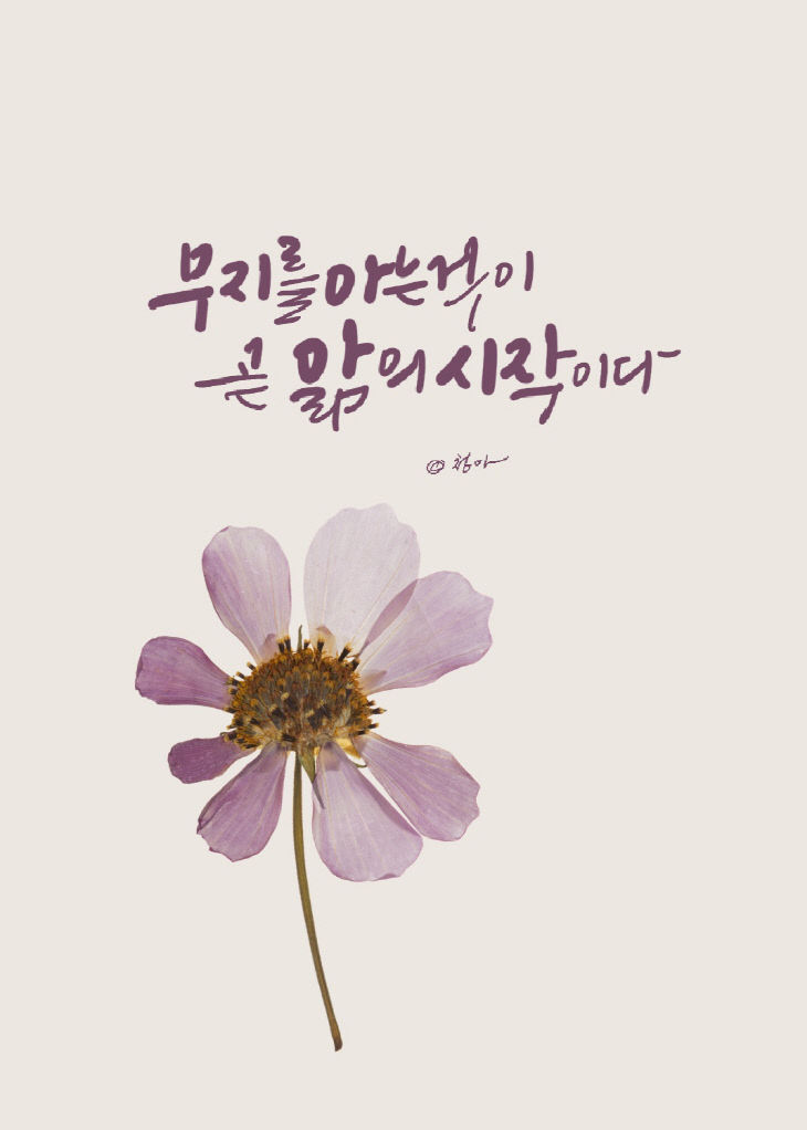 KakaoTalk_20260902_174928259