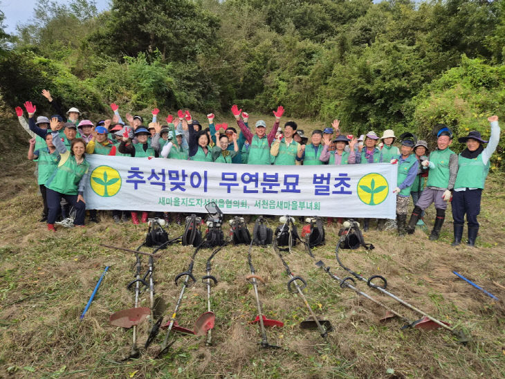 서천읍새마을지도자회가 무연분묘에 대한 벌초 봉사을 펼쳤다