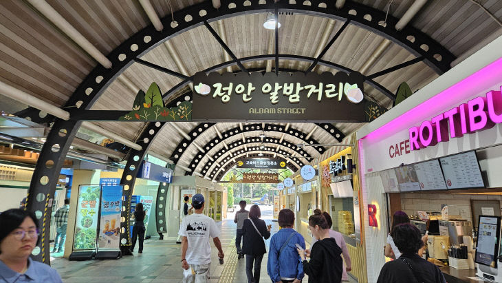 정안알밤거리 사진 (1)