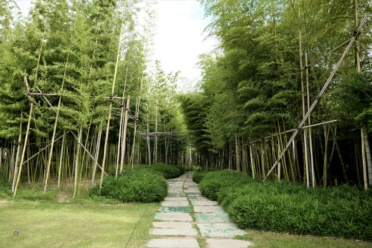 9-22(화)_보도자료(부산_F숲길