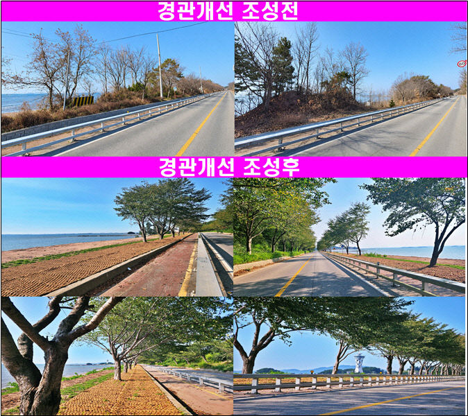 홍성군