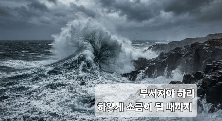 노수빈